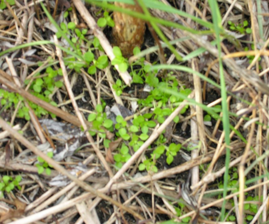 picture #5